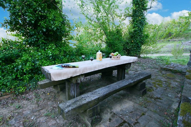 Terrasse / Balkon