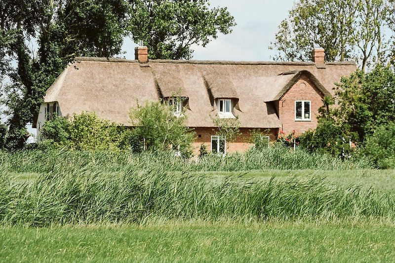 Außenseite Ferienhaus (Sommer)