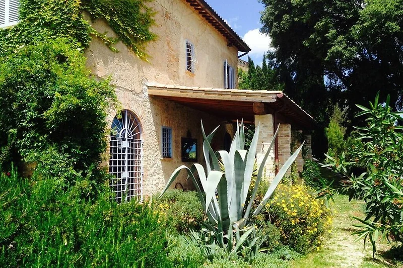 Außenseite Ferienhaus (Sommer)