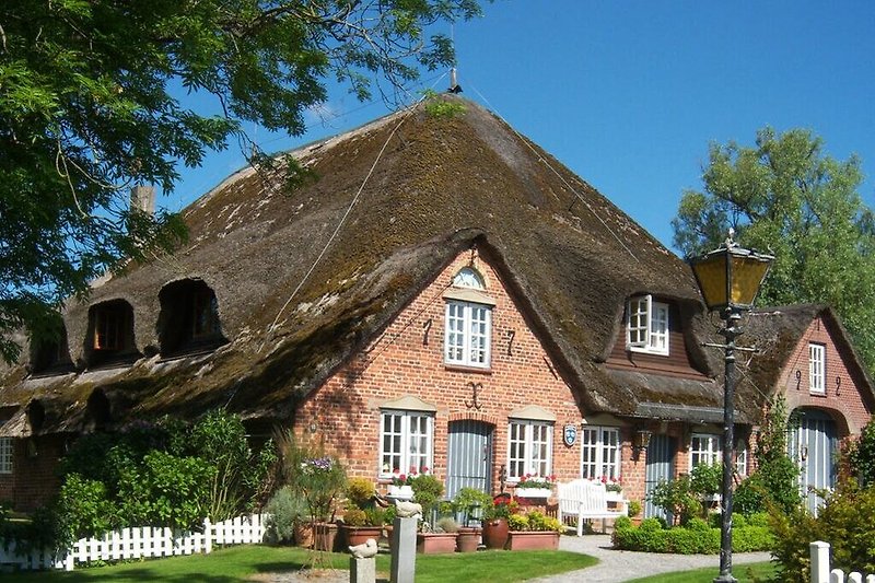 Exterieur vakantiehuis (zomer)