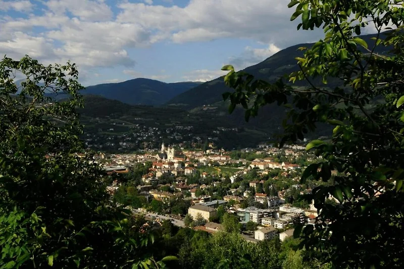 Nella regione (estate) (>5 km)
