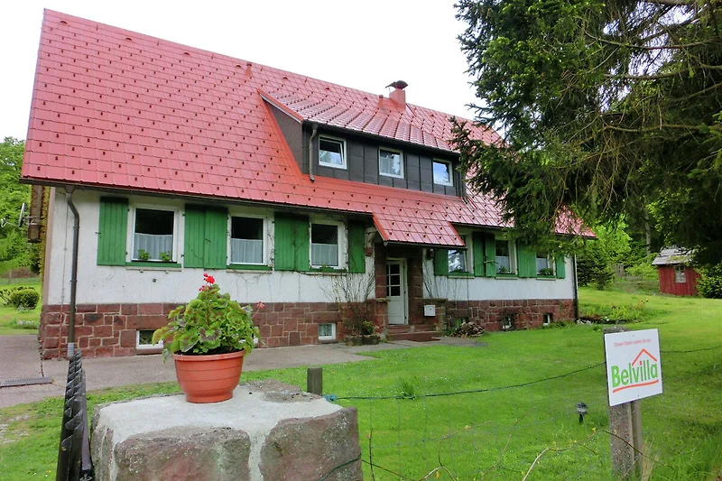 Exterieur vakantiehuis (zomer)