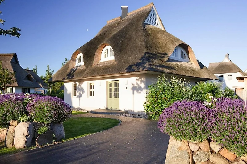 Außenseite Ferienhaus (Sommer)