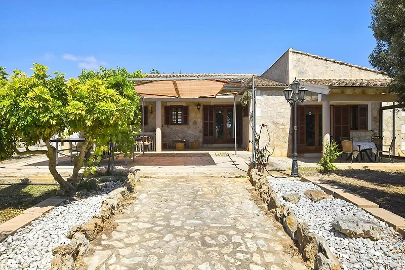 Außenseite Ferienhaus (Sommer)