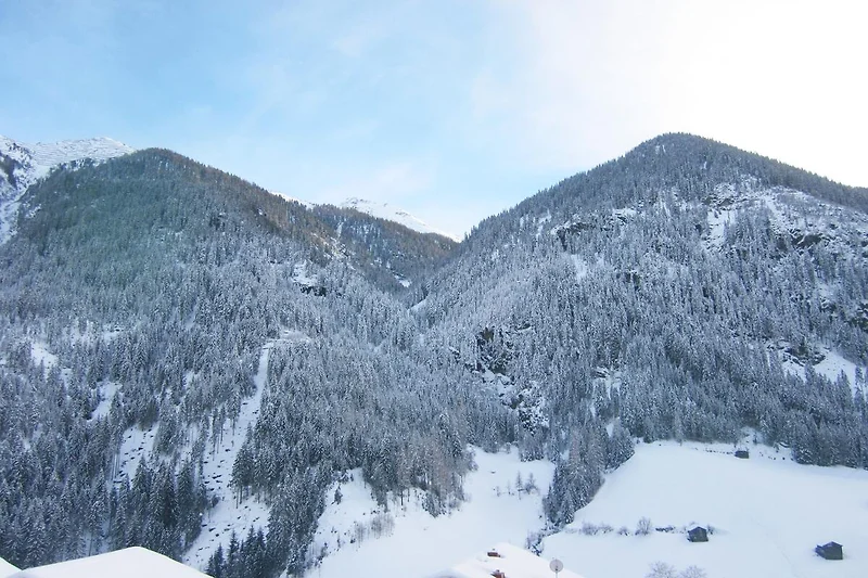 Immediate Surroundings (winter) (<1 km)