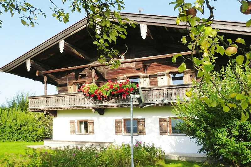 Esterno casa vacanze (estate)