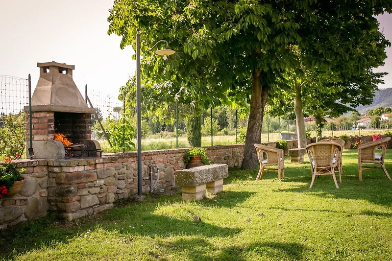 Exterieur vakantiehuis (zomer)