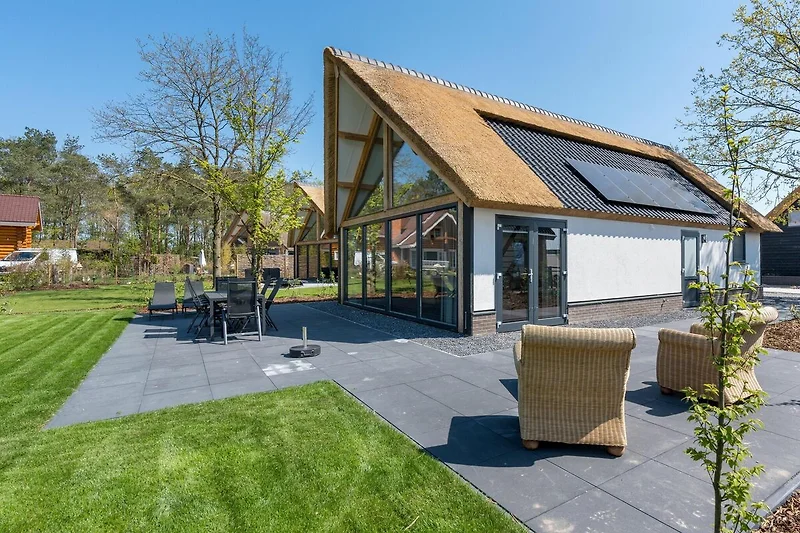 Tuin (zomer)