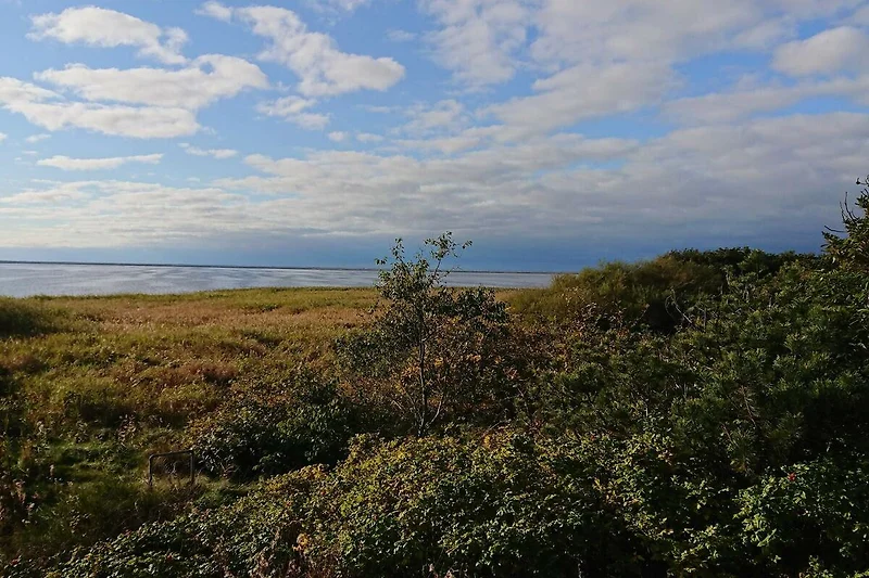 Außenseite Außenseite