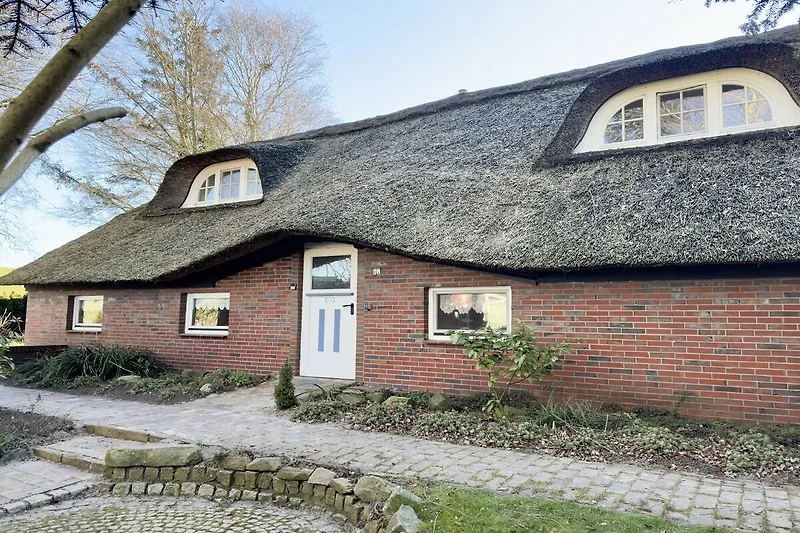 Exterieur vakantiehuis (zomer)