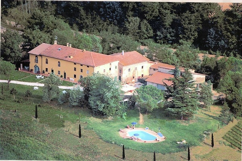 Außenseite Ferienhaus (Sommer)