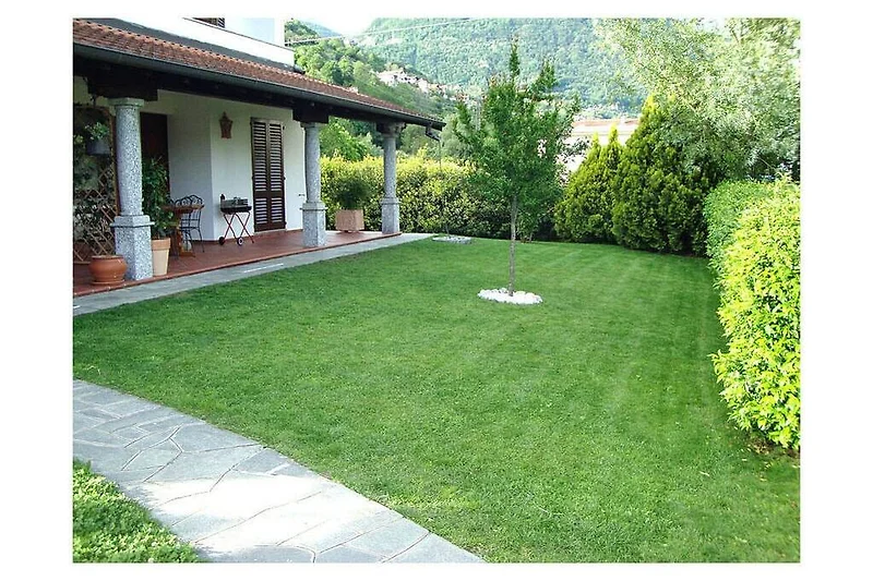 Exterieur vakantiehuis (zomer)