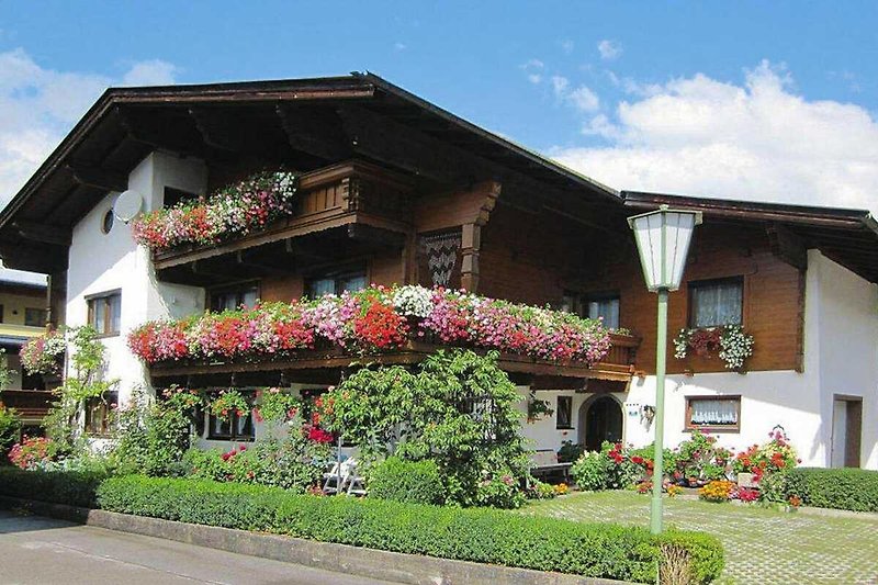 Außenseite Ferienhaus (Sommer)