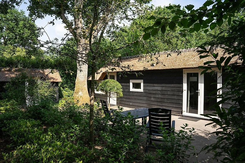 Esterno casa vacanze (estate)