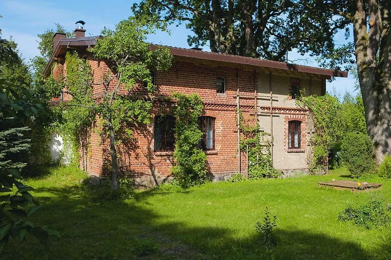 Außenseite Ferienhaus (Sommer)