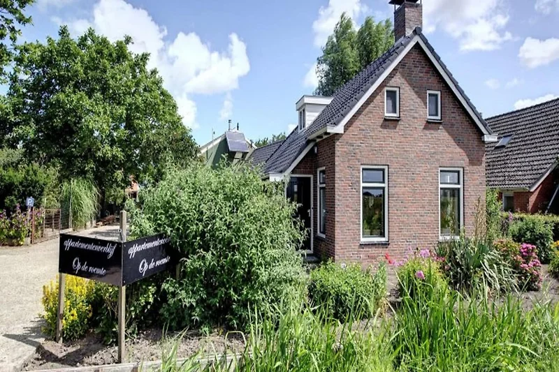 Außenseite Ferienhaus (Sommer)