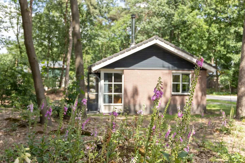 Außenseite Ferienhaus (Sommer)