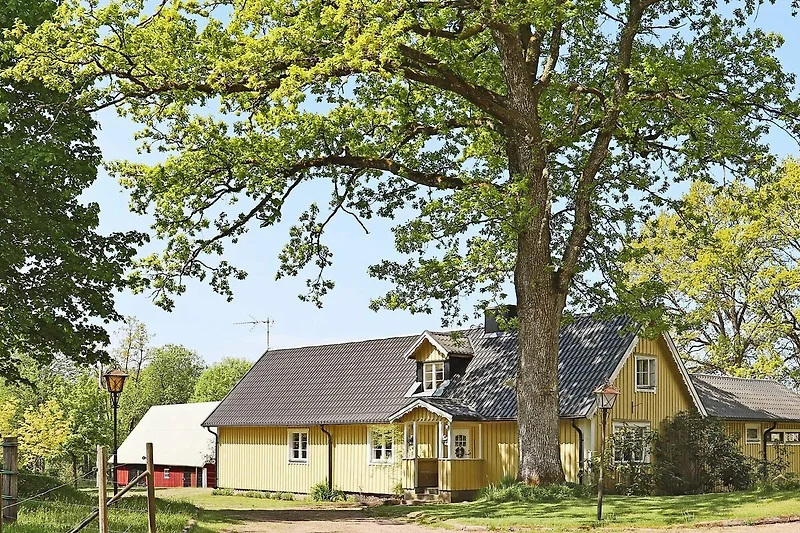 Esterno