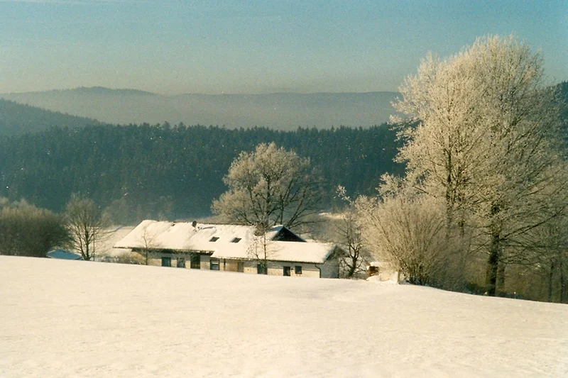 Esterno casa vacanze (inverno)
