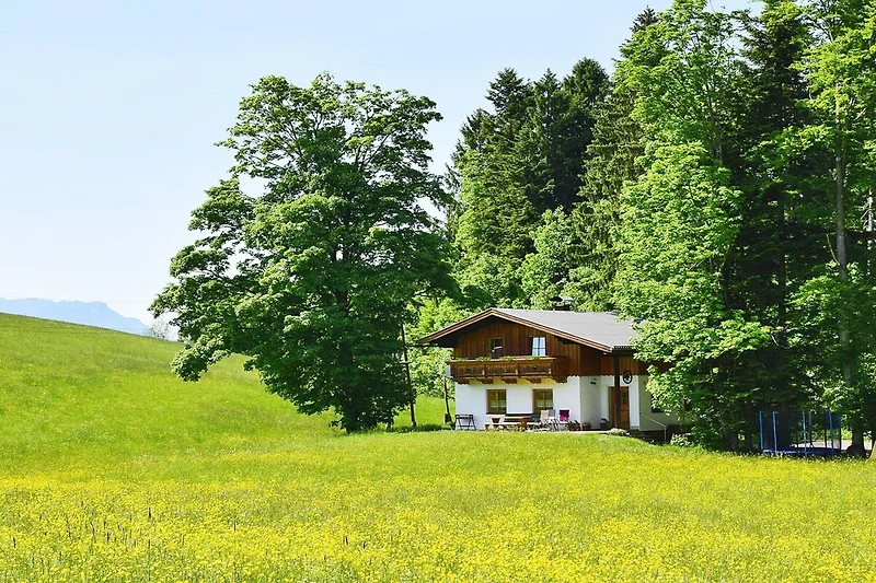 Widok na dom (lato)