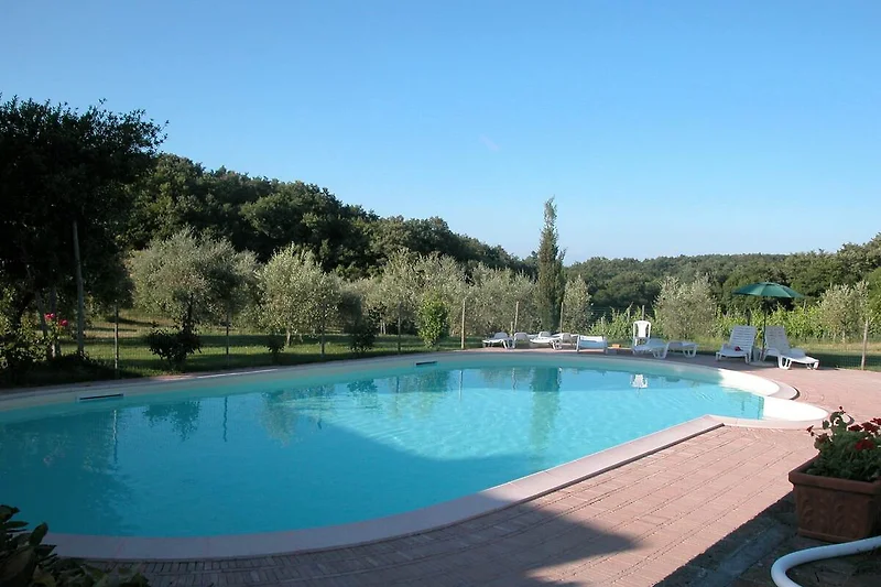 Schwimmbad des Ferienhauses