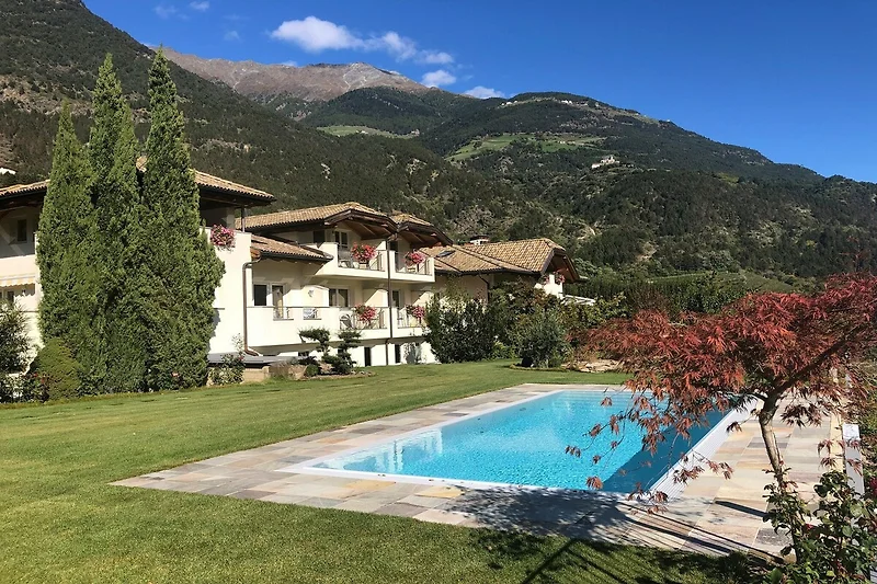 Schwimmbad des Ferienhauses