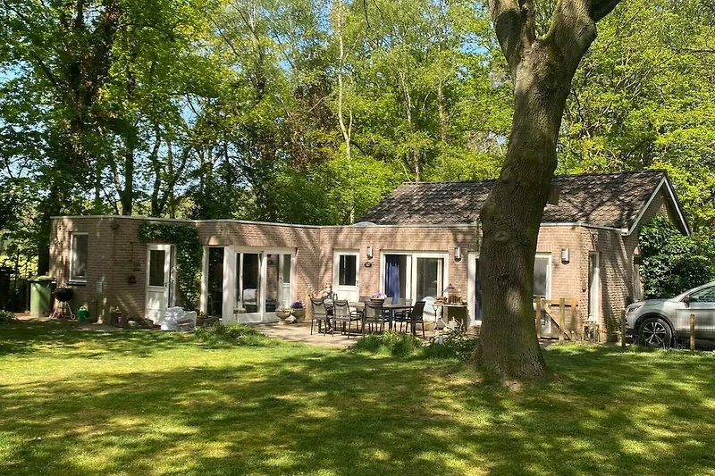 Außenseite Ferienhaus (Sommer)