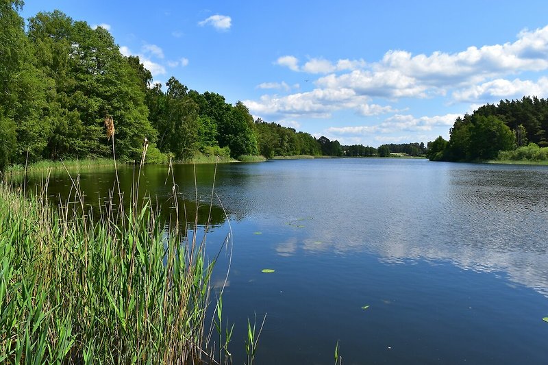 Direkte Umgebung (Sommer) (<1 km)