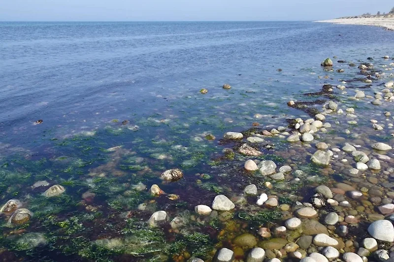 Blick aufs Wasser