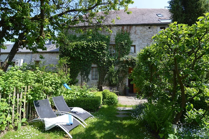 Garten (Sommer)