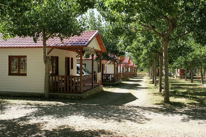 Exterieur vakantiehuis (zomer)