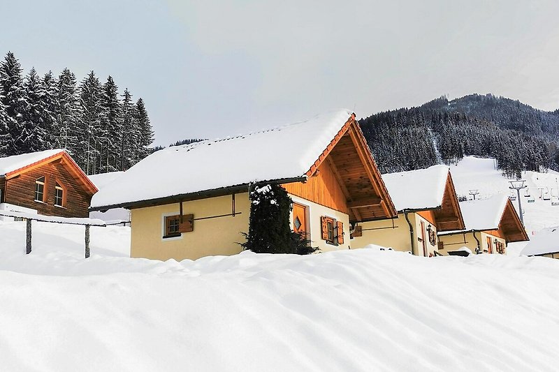 Exterieur vakantiehuis (winter)