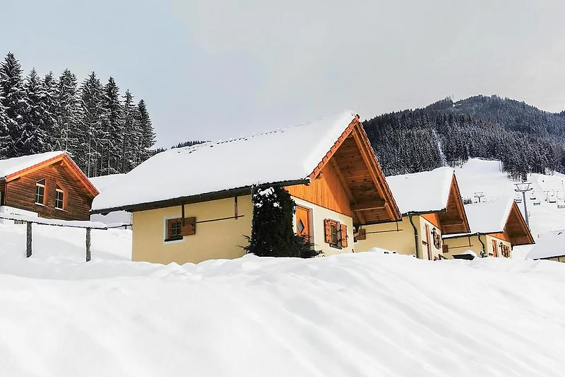 Exterieur vakantiehuis (winter)
