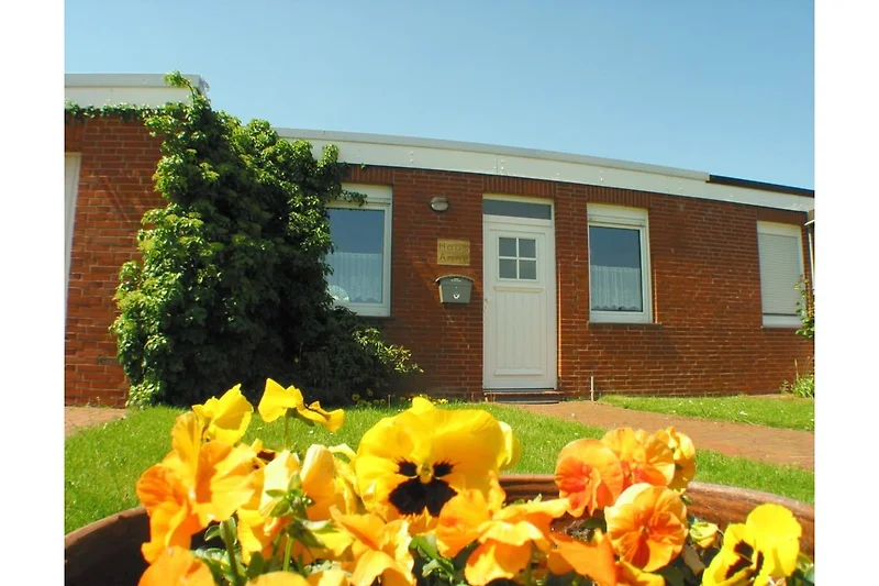 Außenseite Ferienhaus (Sommer)