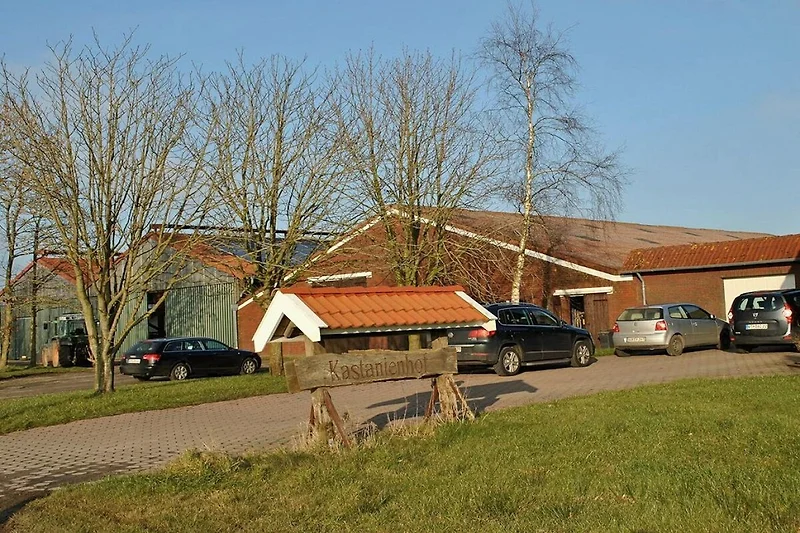 Außenseite Ferienhaus (Sommer)