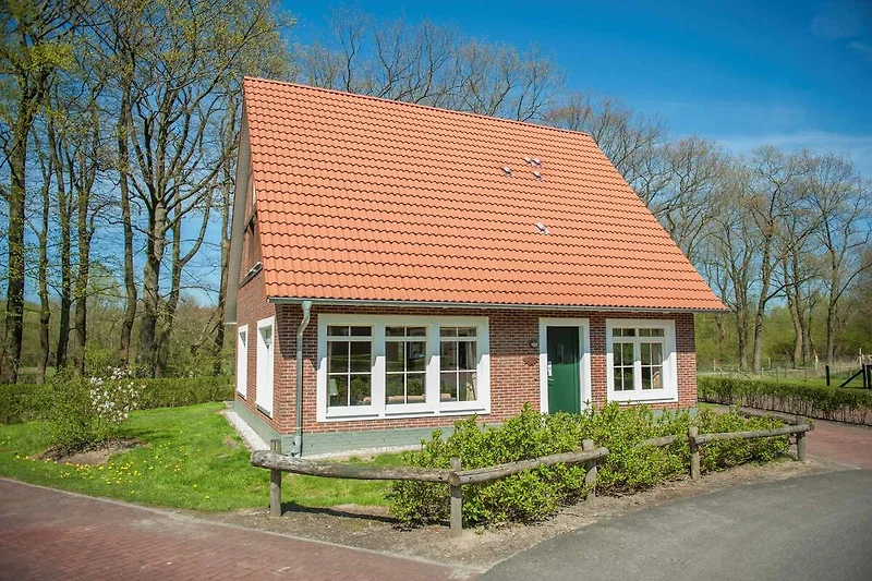 Exterieur vakantiehuis (zomer)