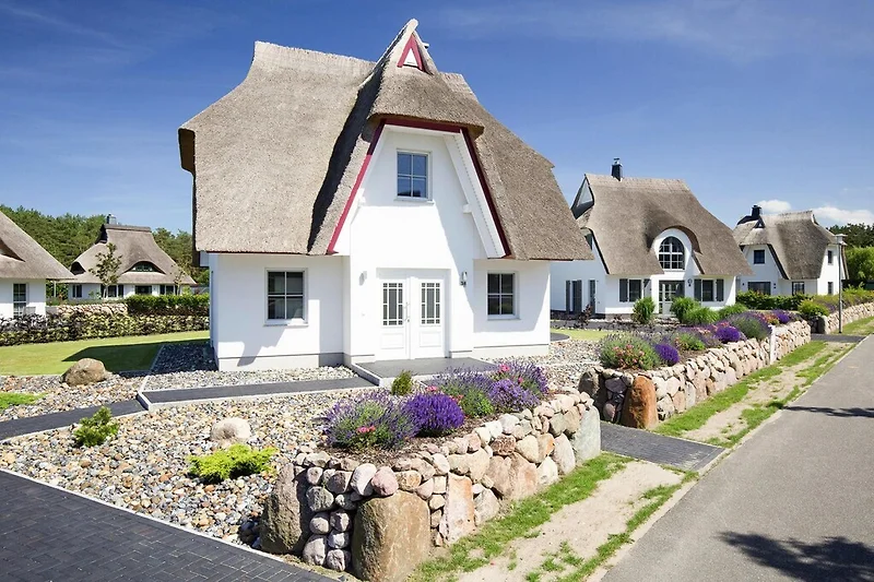 Außenseite Ferienhaus (Sommer)