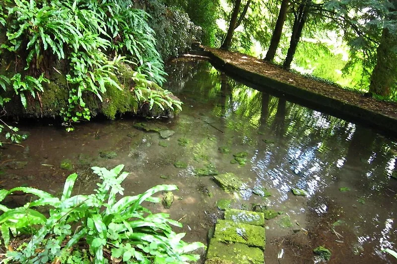 Tuin (zomer)