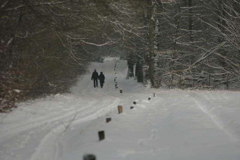 Omgeving (winter) (1-5 km)