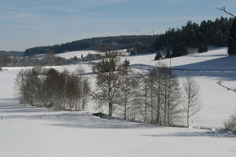 Dans les environs (hiver) (1-5 km)