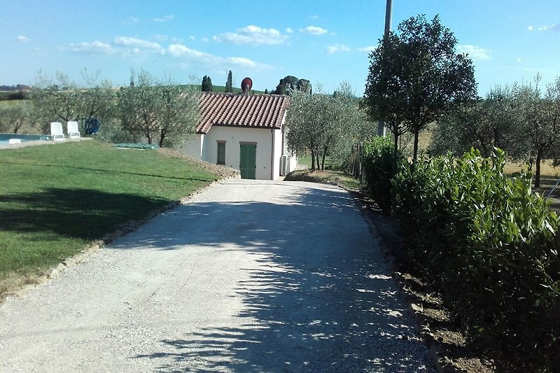 Giardino (estate)