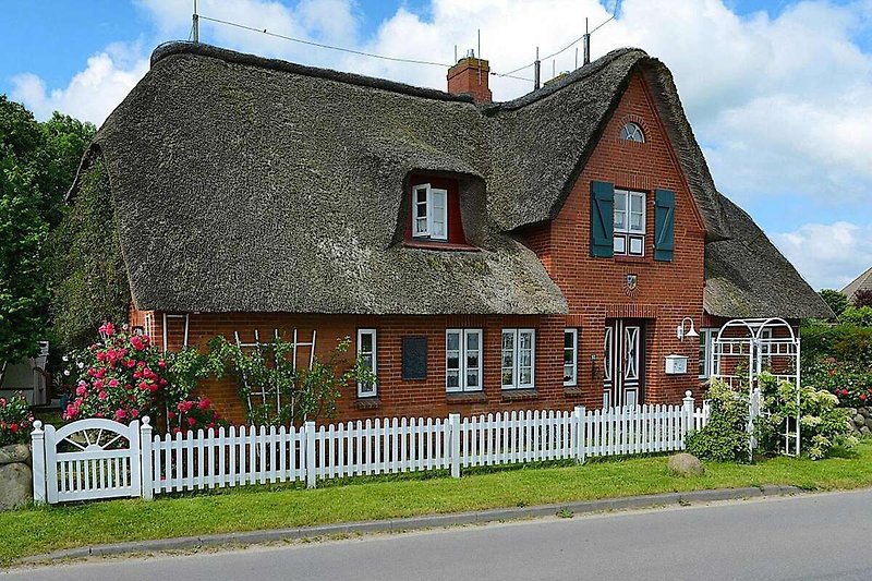 Exterieur vakantiehuis (zomer)