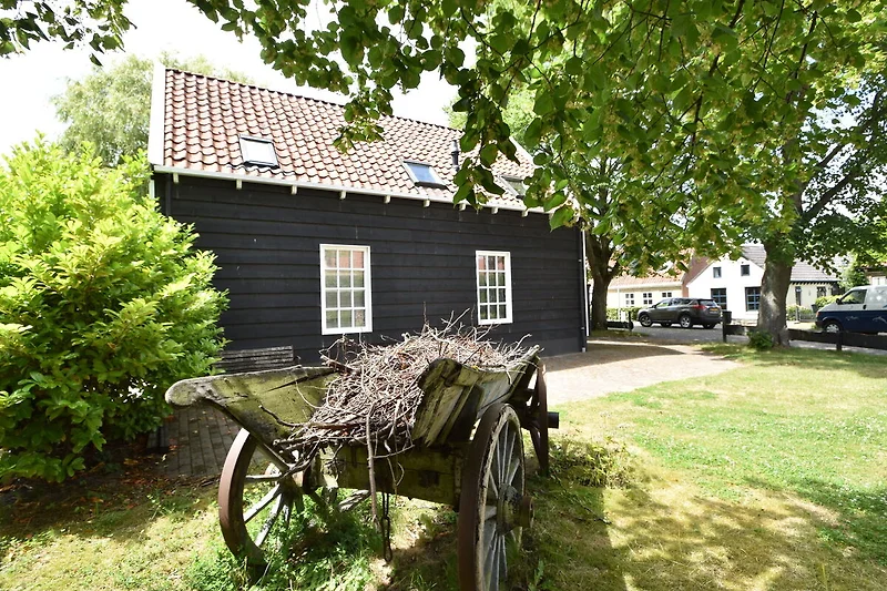 Außenseite Ferienhaus (Sommer)
