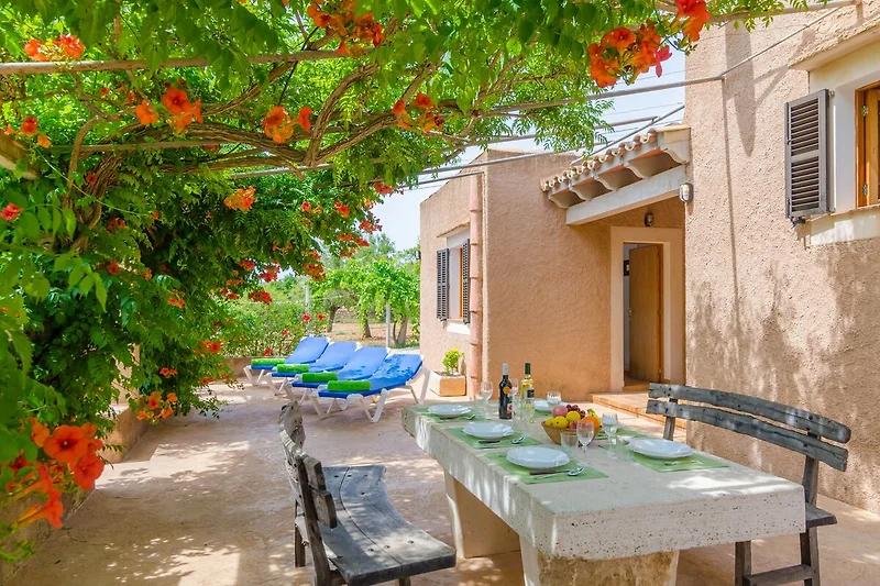 Terrazza / Balcone