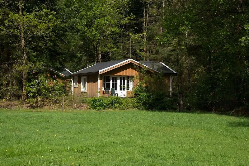 Exterieur vakantiehuis (zomer)
