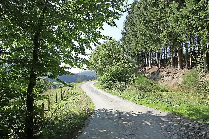 Direkte Umgebung (Sommer) (<1 km)