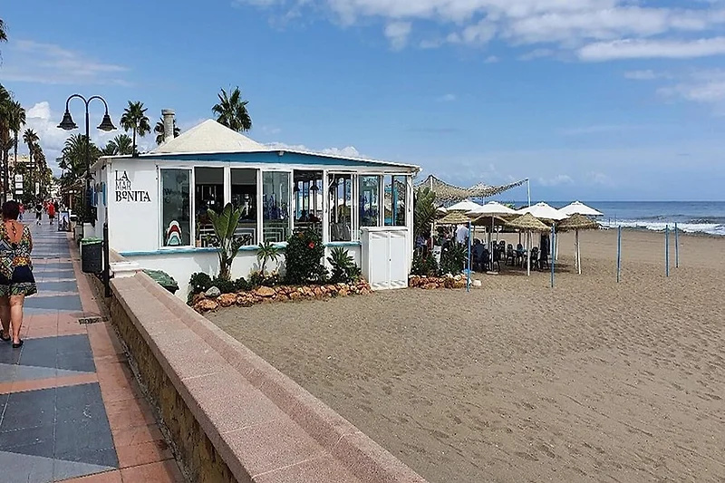 Directe omgeving (zomer) (<1 km)