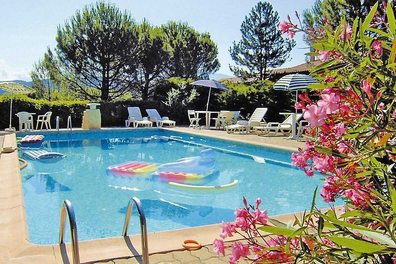 Schwimmbad des Ferienhauses