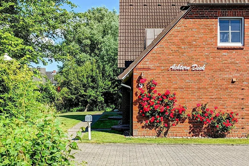 Außenseite Ferienhaus (Sommer)