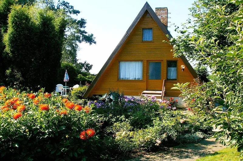 Exterieur vakantiehuis (zomer)